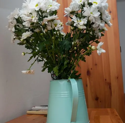 Indigo Pensión Split